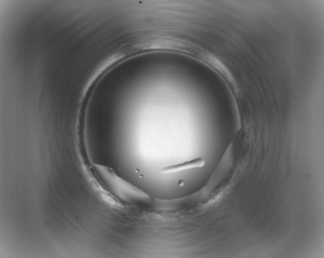 X0000070421138200606091231