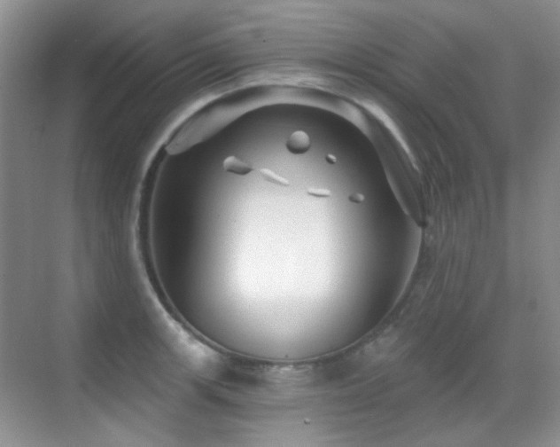 X0000070421139200606091231