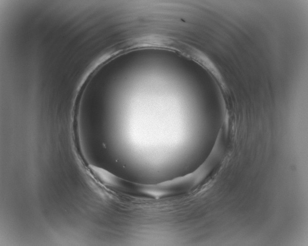 X0000070421146200606091231