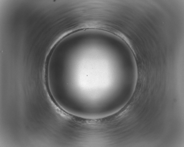 X0000070421147200606091231