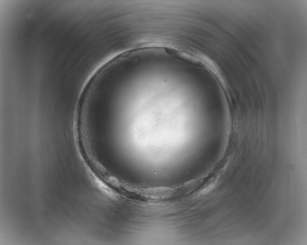 X0000070421149200606091231