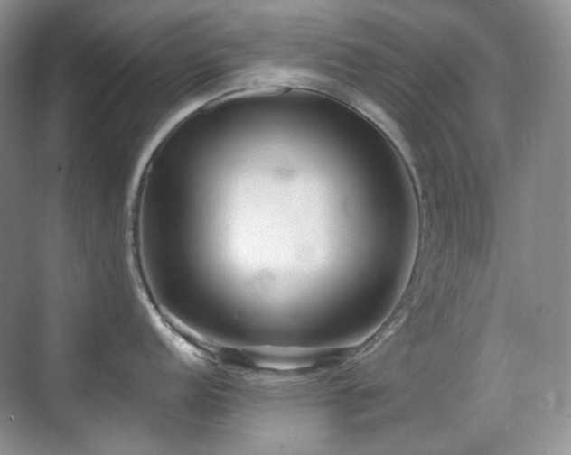 X0000070421152200606091231