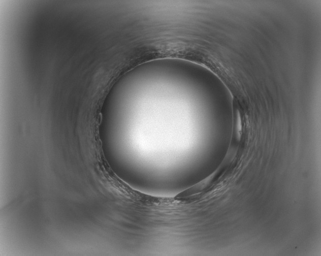 X0000070421153200606091230