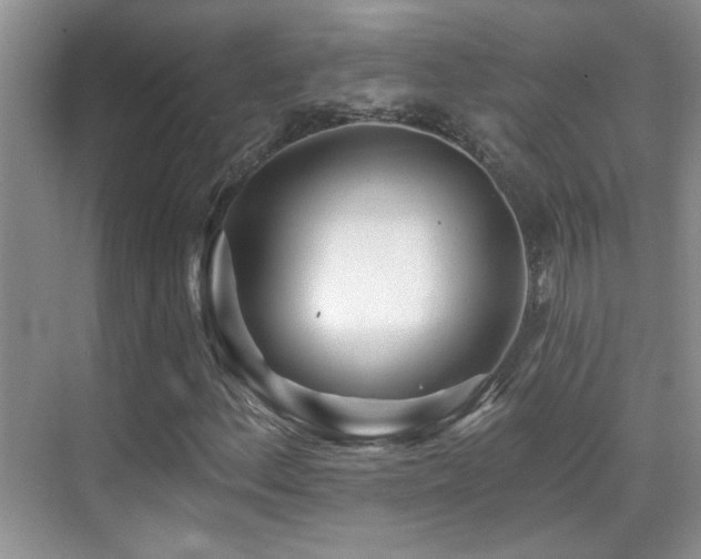 X0000070421156200606091230