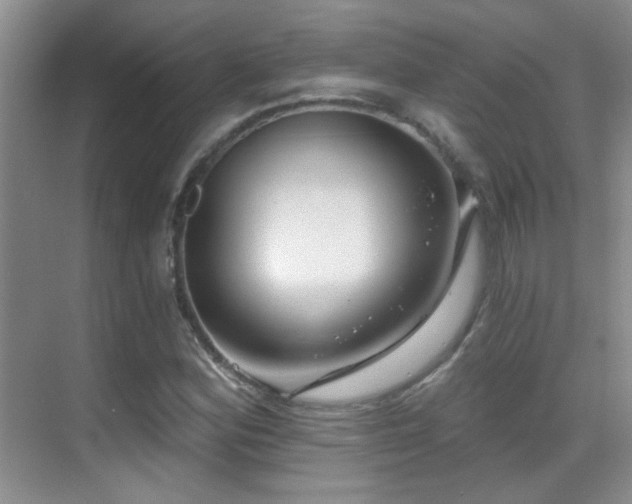 X0000070421164200606091230