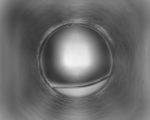 X0000070421176200606091230