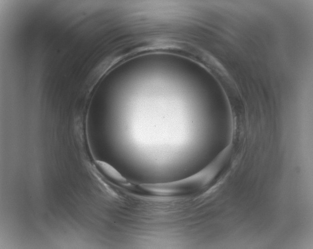 X0000070421177200606091230