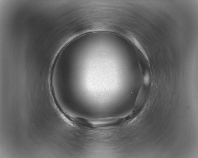 X0000070421197200606091230