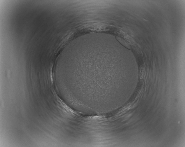X0000070421202200606091229