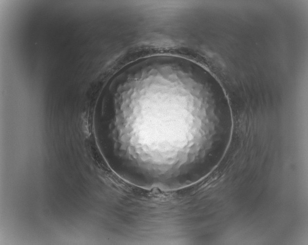 X0000070421205200606091229