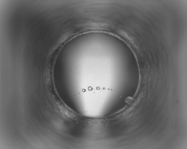 X0000070421211200606091229