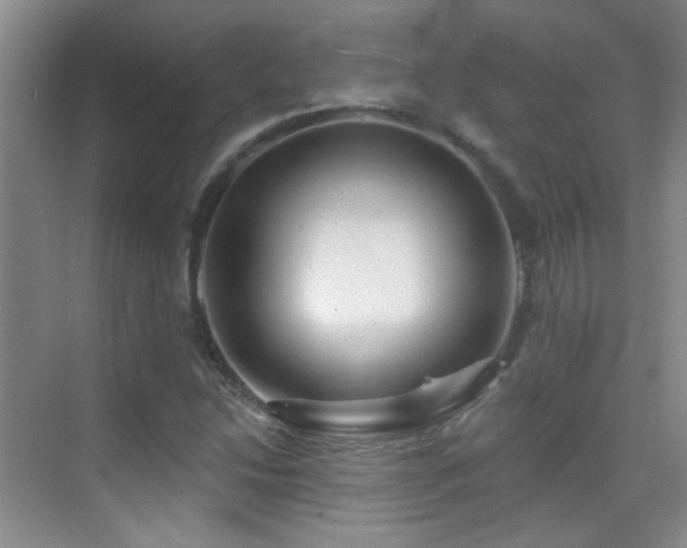 X0000070421214200606091229