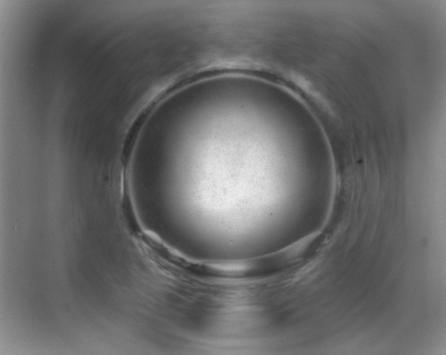 X0000070421221200606091229