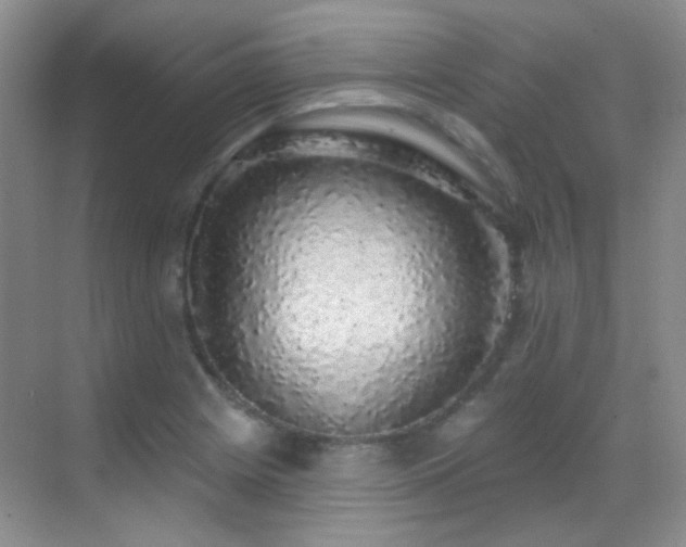 X0000070421225200606091229