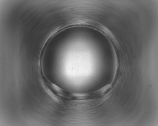 X0000070421234200606091229