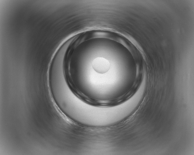 X0000070421246200606091230