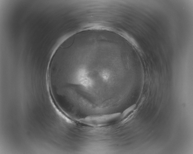 X0000070421247200606091230