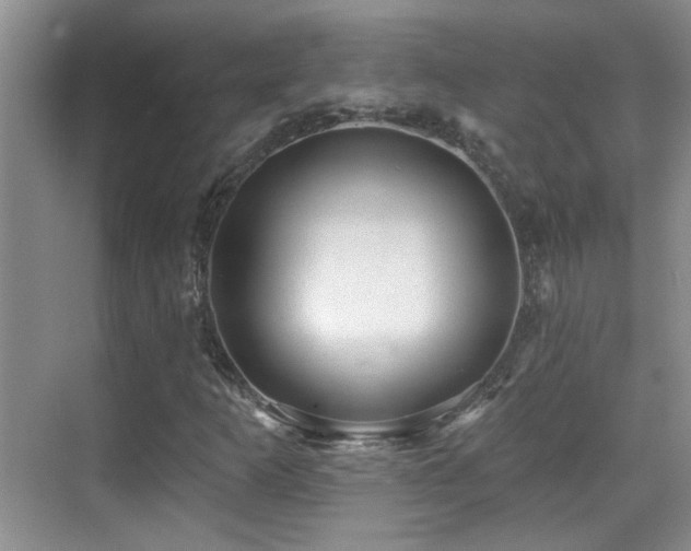 X0000070421253200606091229