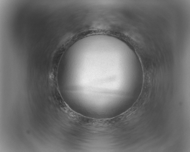 X0000070421254200606091229