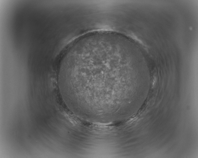 X0000070421255200606091229