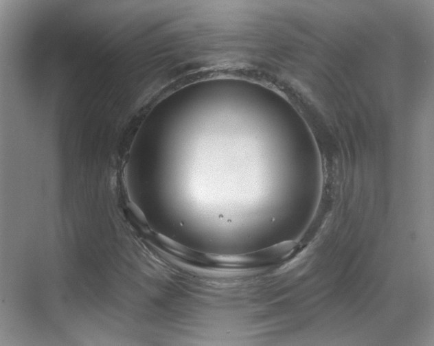 X0000070421257200606091229