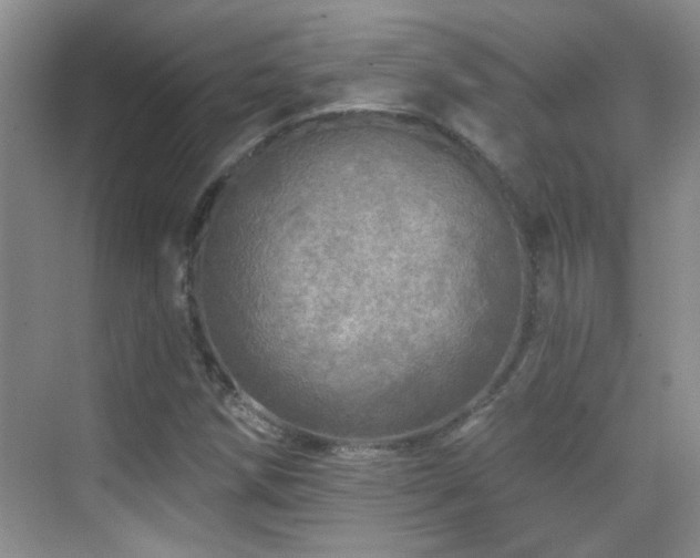 X0000070421258200606091229