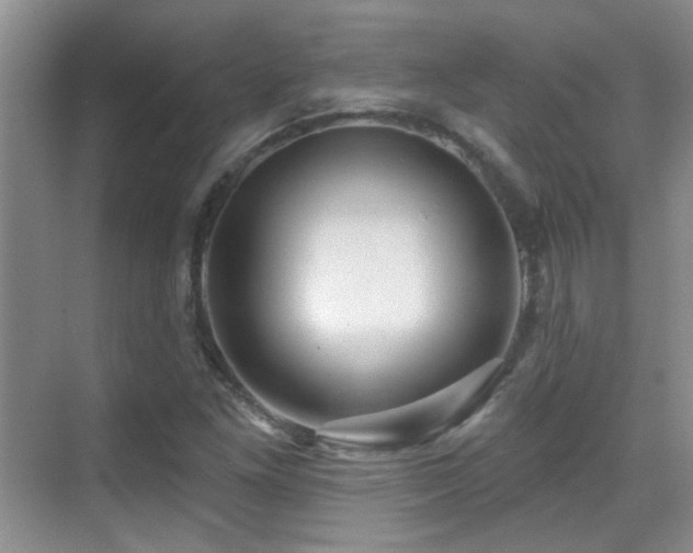 X0000070421261200606091229