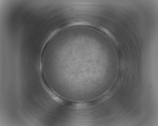 X0000070421274200606091228
