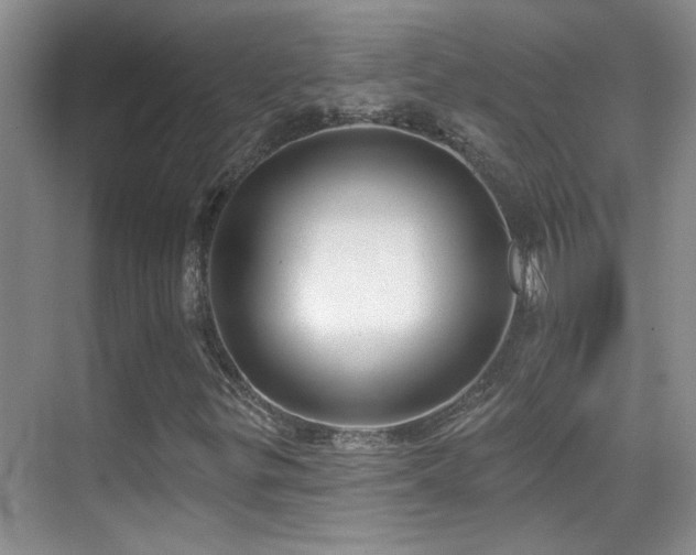 X0000070421299200606091227