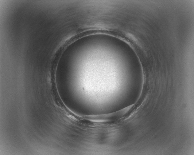 X0000070421307200606091227