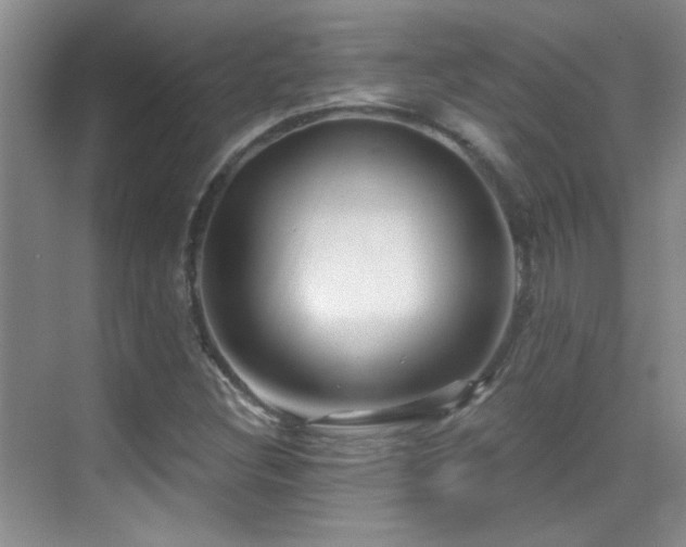 X0000070421308200606091227