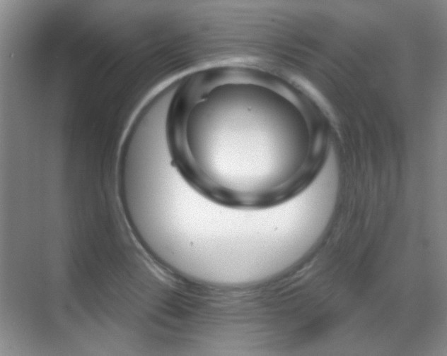 X0000070421324200606091228