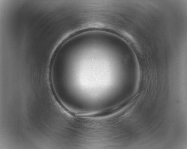 X0000070421326200606091228