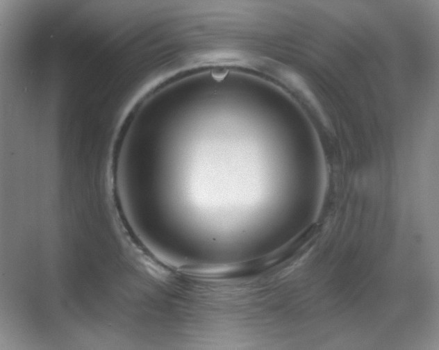 X0000070421328200606091228