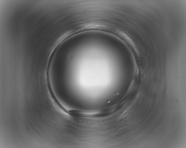 X0000070421330200606091228