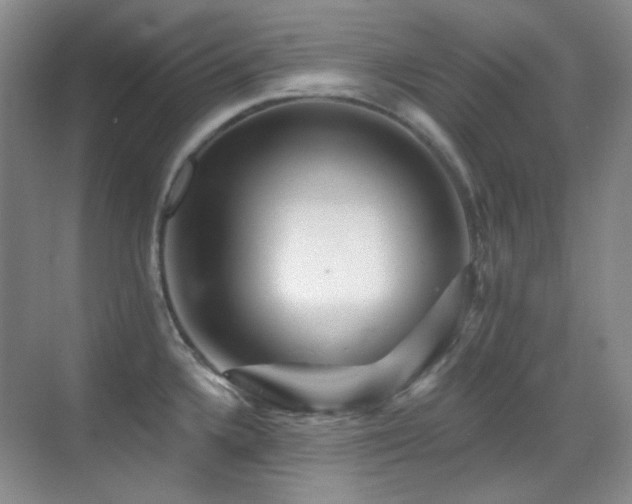 X0000070421336200606091228