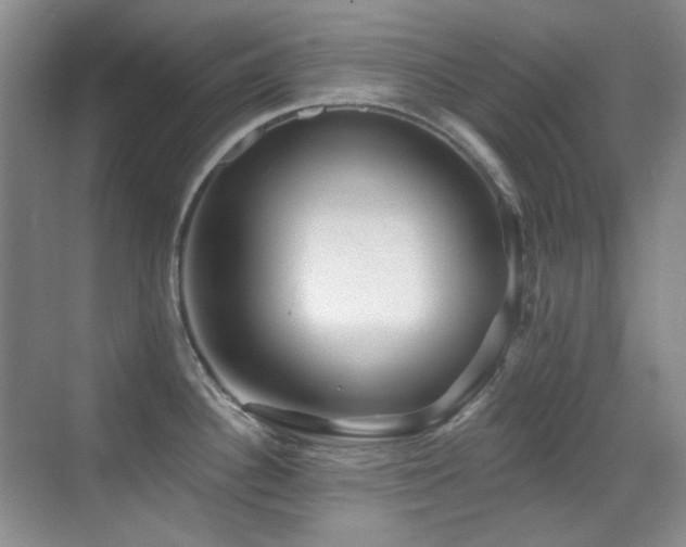 X0000070421340200606091228