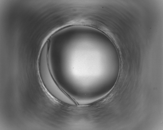 X0000070421344200606091228