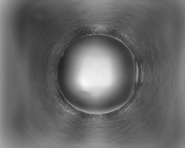X0000070421345200606091227