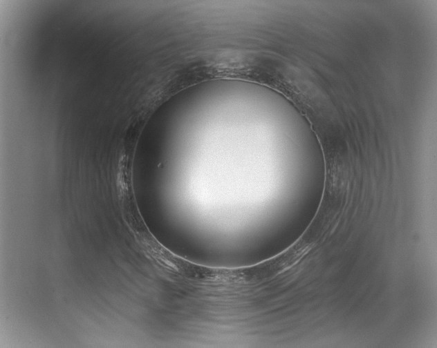 X0000070421346200606091227