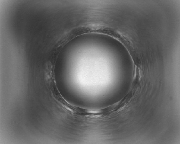 X0000070421349200606091227