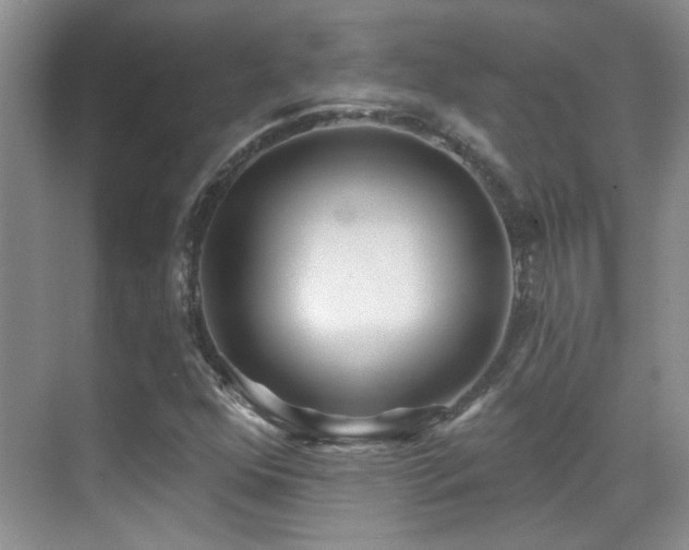 X0000070421352200606091227