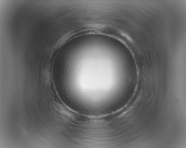 X0000070421354200606091227