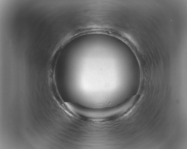 X0000070421357200606091227
