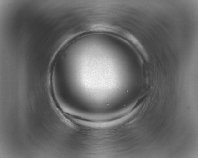 X0000070421376200606091227