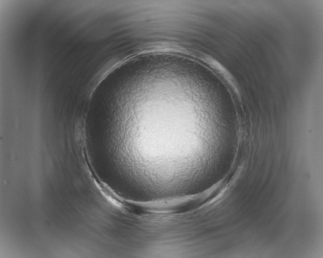 X0000070421385200606091227