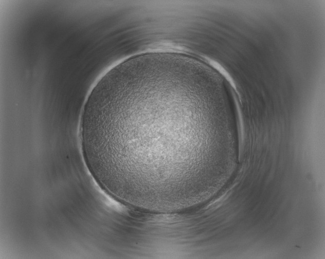 X0000070421387200606091227