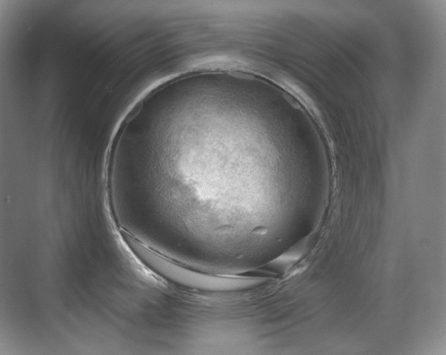 X0000070421392200606091226