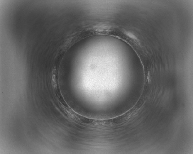 X0000070421396200606091226