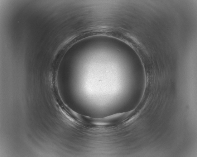 X0000070421402200606091226